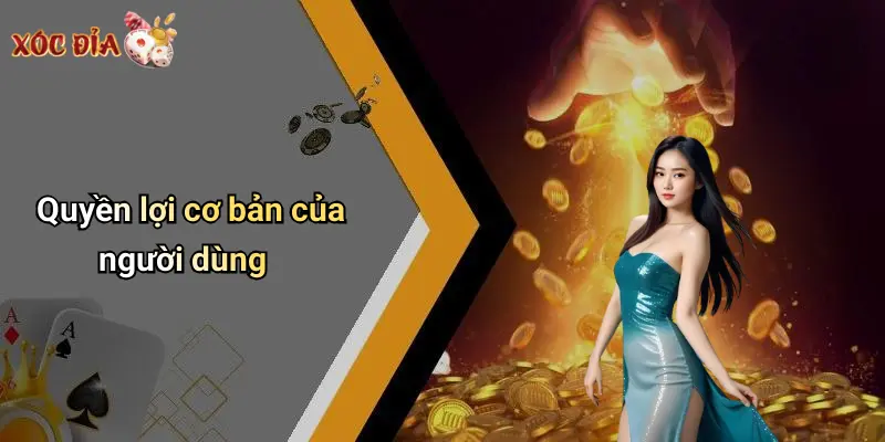 Quyền lợi cơ bản của người dùng