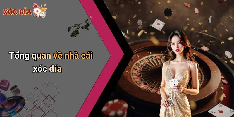 Tổng quan về nhà cái xóc đĩa