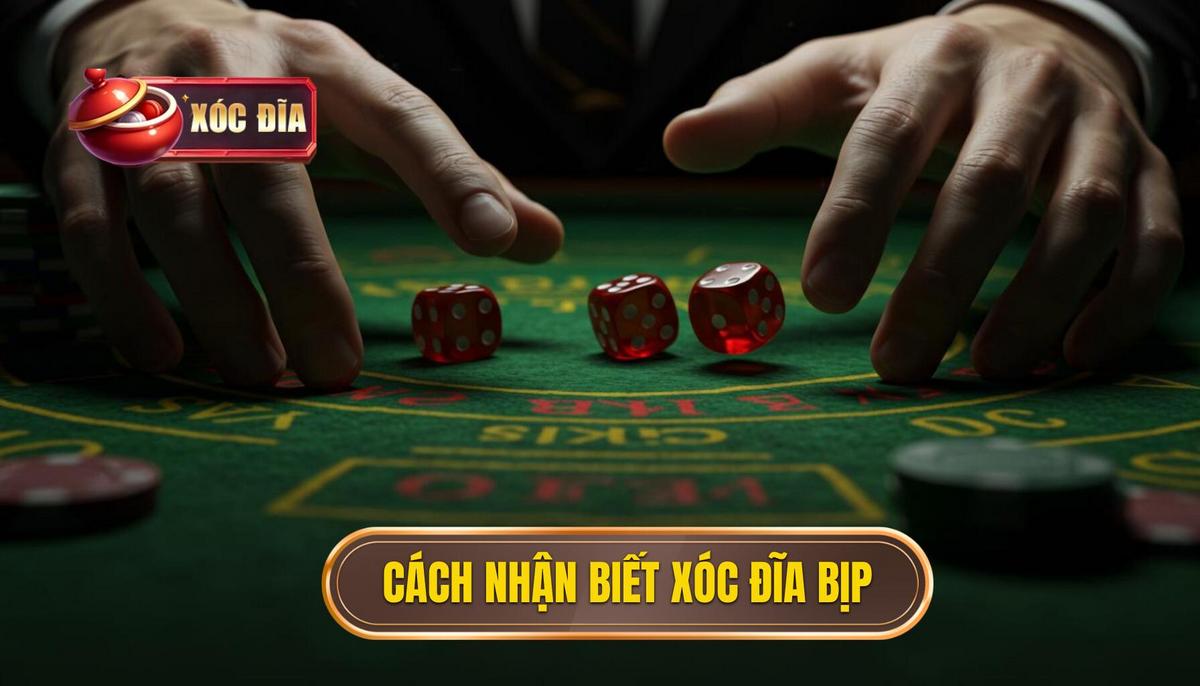 Chi Tiết Xóc Đĩa Bịp – Cách Nhận Biết Qua Quan Sát Tinh Tế