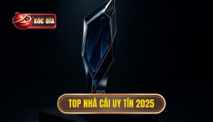Top Nhà Cái Uy Tín 2025