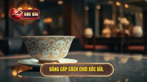 Cách Chơi Xóc Đĩa Từ A-Z: Bí Quyết Thắng Lớn Tại Familylawreformusa