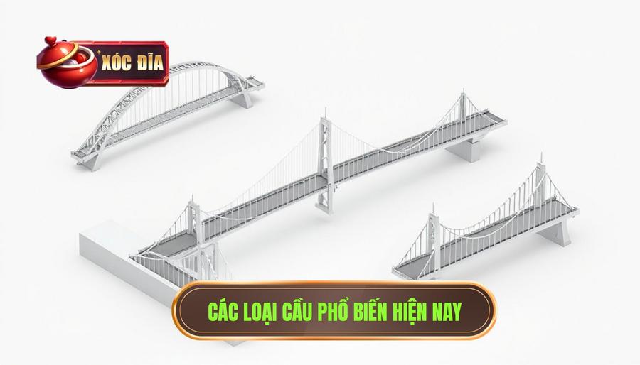 Các Loại Cầu Phổ Biến Hiện Nay