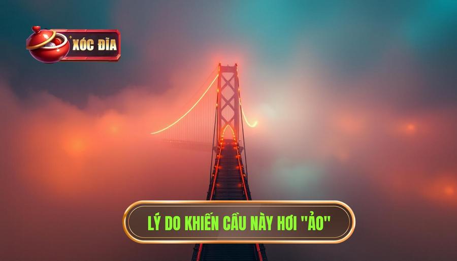  Lý Do Khiến Cầu Này Hơi ảo 