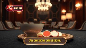 Cách Chơi Xóc Đĩa Chẵn Lẻ: Hướng Dẫn Chi Tiết Và Bí Quyết Trở Thành Cao Thủ