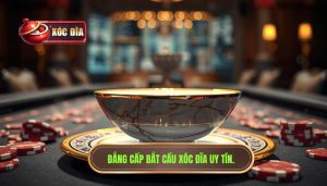 Đẳng Cấp Bắt Cầu XÓc ĐĨa Uy Tín.