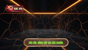 XÓc ĐĨa Đẳng Cấp Soi Cầu Chuẩn.
