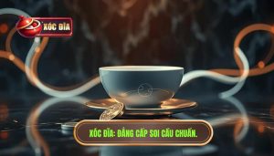 XÓc ĐĨa Đẳng Cấp Soi Cầu Chuẩn.