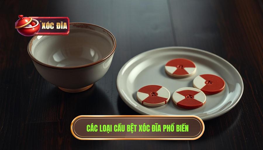 2. Các Loại Cầu Bệt Xóc đĩa Phổ Biến